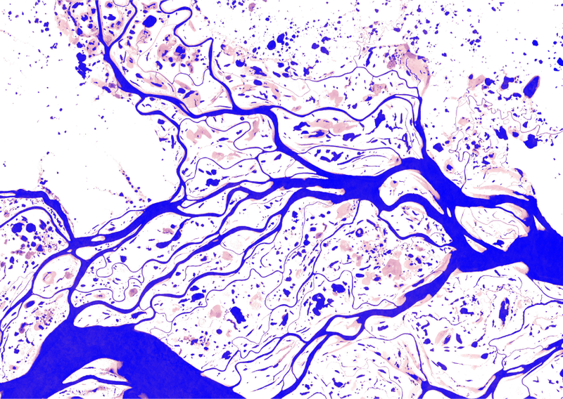 This map shows the upper stretches of the Yenisei River in Russia and captures the spatial and temporal patterns in surface water. Dark blue colors are areas of permanent water and the pink colors show areas of where water occurs less often. (Image: © EC-Joint Research Centre / Google, 2016)